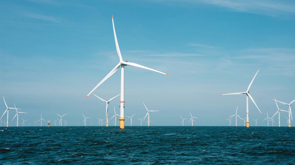 Offshore wind farm development